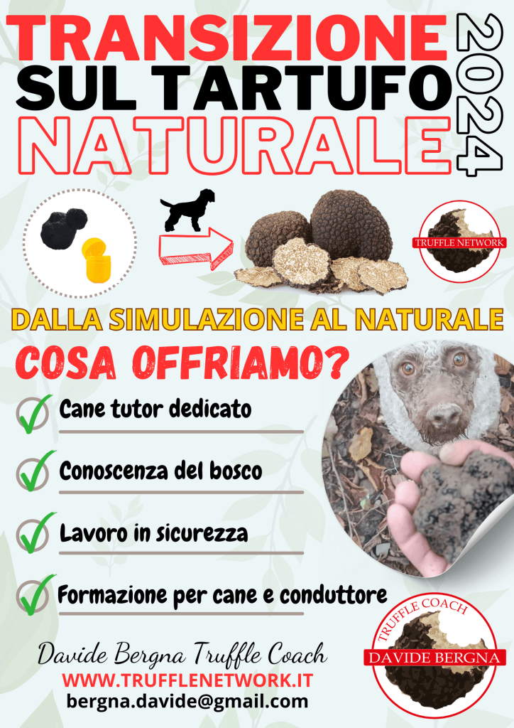 ricerca tartufo naturale