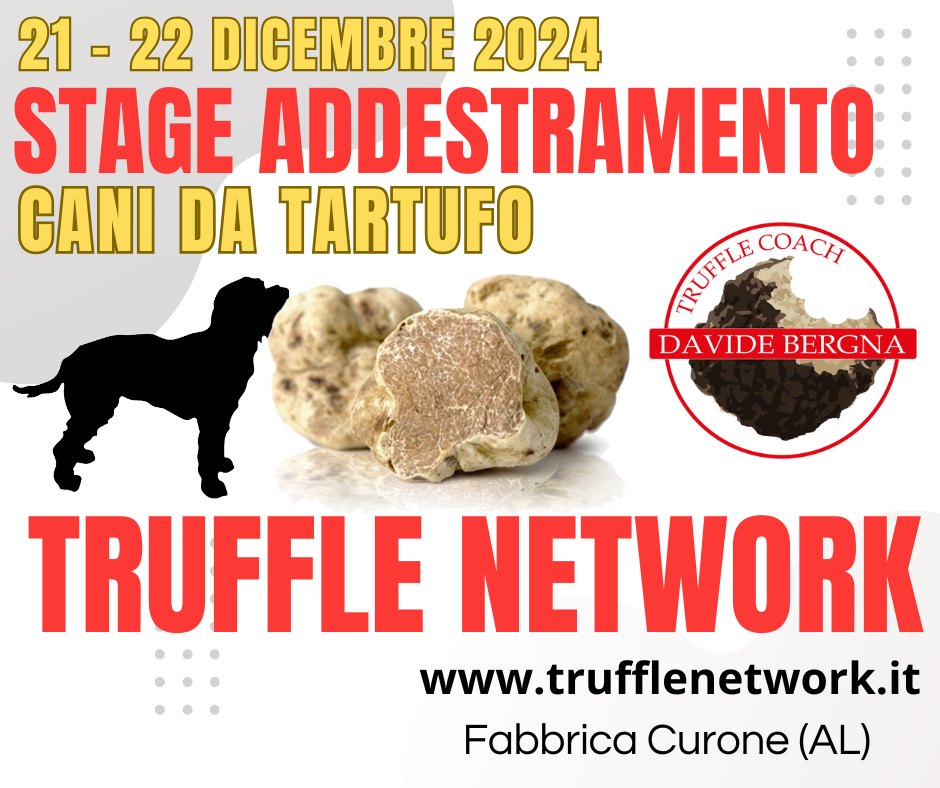 Stage RICERCA TARTUFO Dicembre 2024