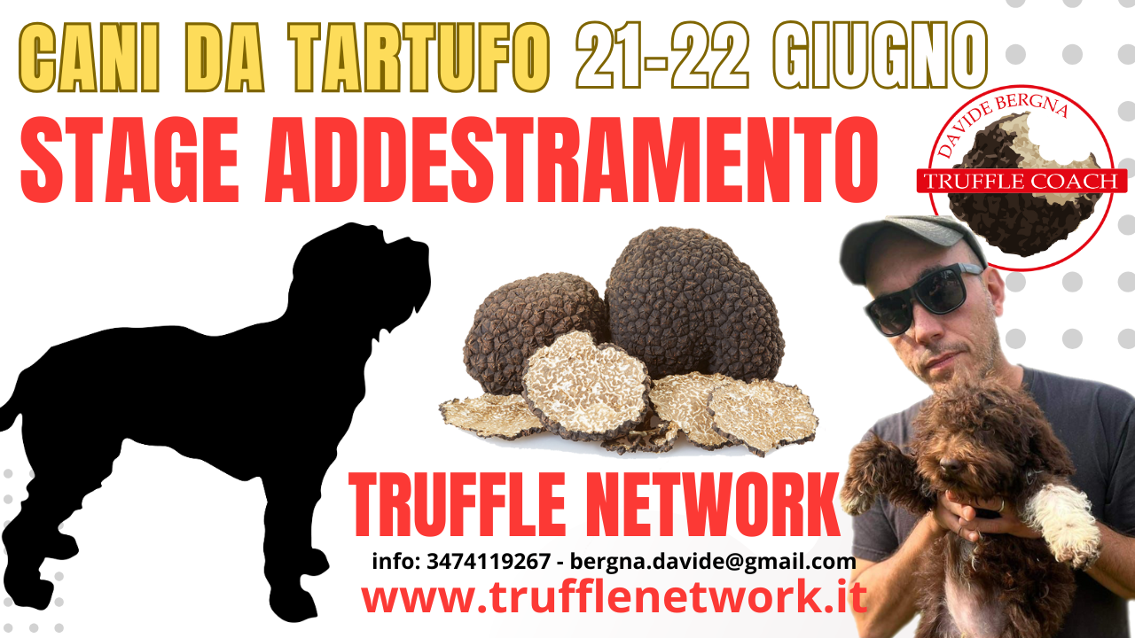 21 22 GIUGNO STAGE DI ADDESTRAMENTO